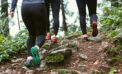 walking excercise hiking outdoors Eight proven ways walking improves your brain
