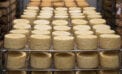 cheese factory food dairy Canada’s food security depends on significant policy shifts