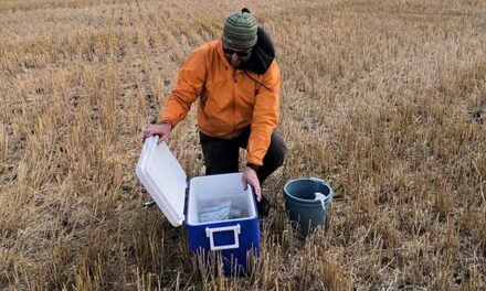 New soil database will help Alberta farmers plot out sustainable practices